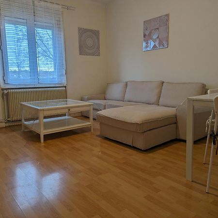 Le Balois - Appartement 2 Chambres, Salon, Cuisine Equipee, Parking Et Wifi Gratuit Mulhouse Ngoại thất bức ảnh