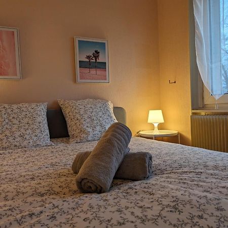 Le Balois - Appartement 2 Chambres, Salon, Cuisine Equipee, Parking Et Wifi Gratuit Mulhouse Ngoại thất bức ảnh