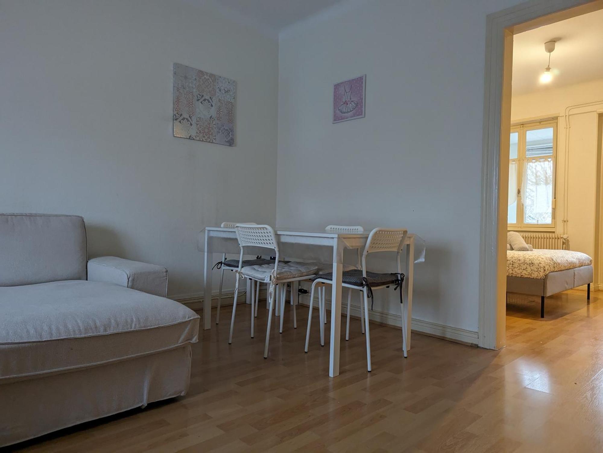 Le Balois - Appartement 2 Chambres, Salon, Cuisine Equipee, Parking Et Wifi Gratuit Mulhouse Ngoại thất bức ảnh