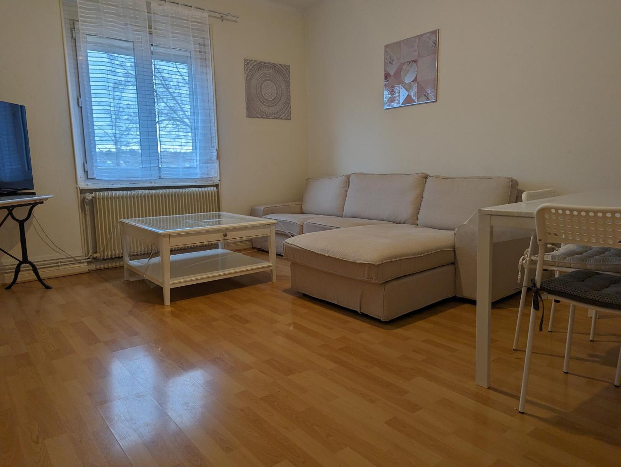 Le Balois - Appartement 2 Chambres, Salon, Cuisine Equipee, Parking Et Wifi Gratuit Mulhouse Ngoại thất bức ảnh