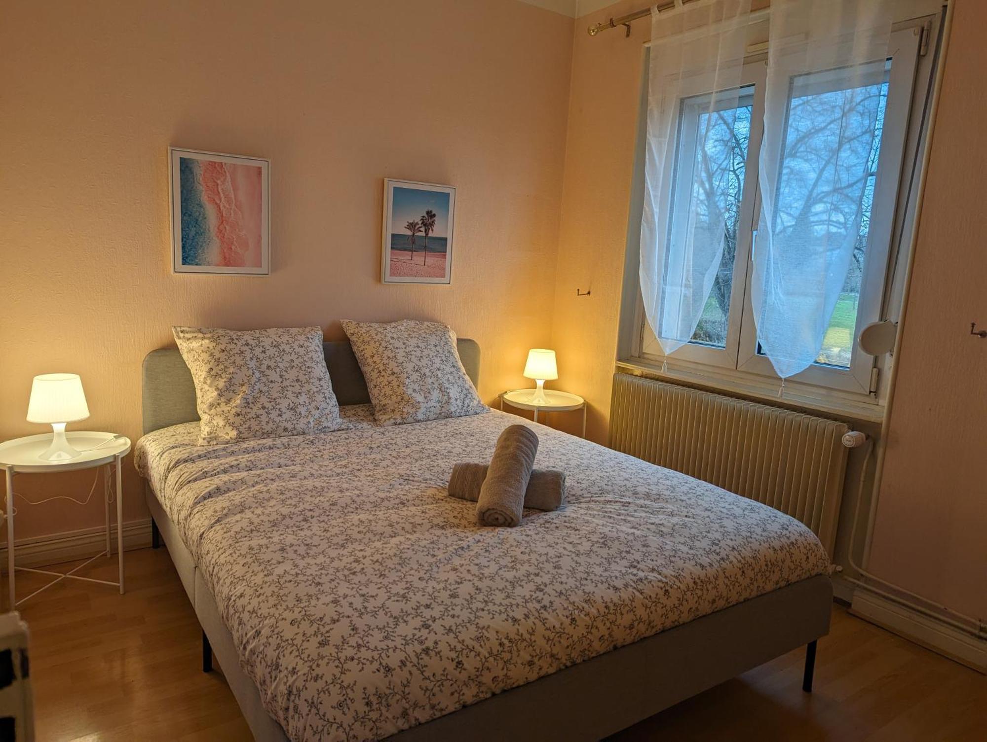 Le Balois - Appartement 2 Chambres, Salon, Cuisine Equipee, Parking Et Wifi Gratuit Mulhouse Ngoại thất bức ảnh