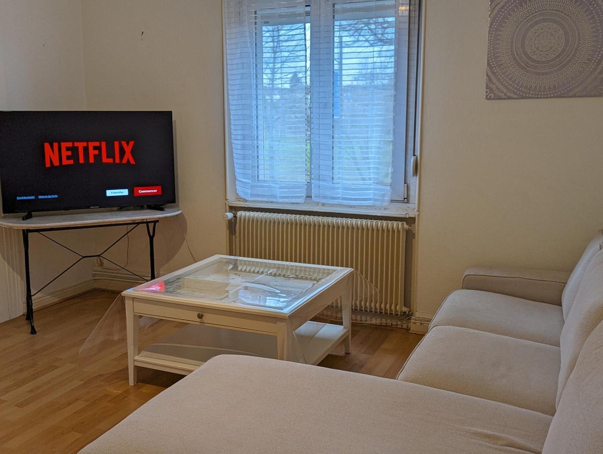 Le Balois - Appartement 2 Chambres, Salon, Cuisine Equipee, Parking Et Wifi Gratuit Mulhouse Ngoại thất bức ảnh