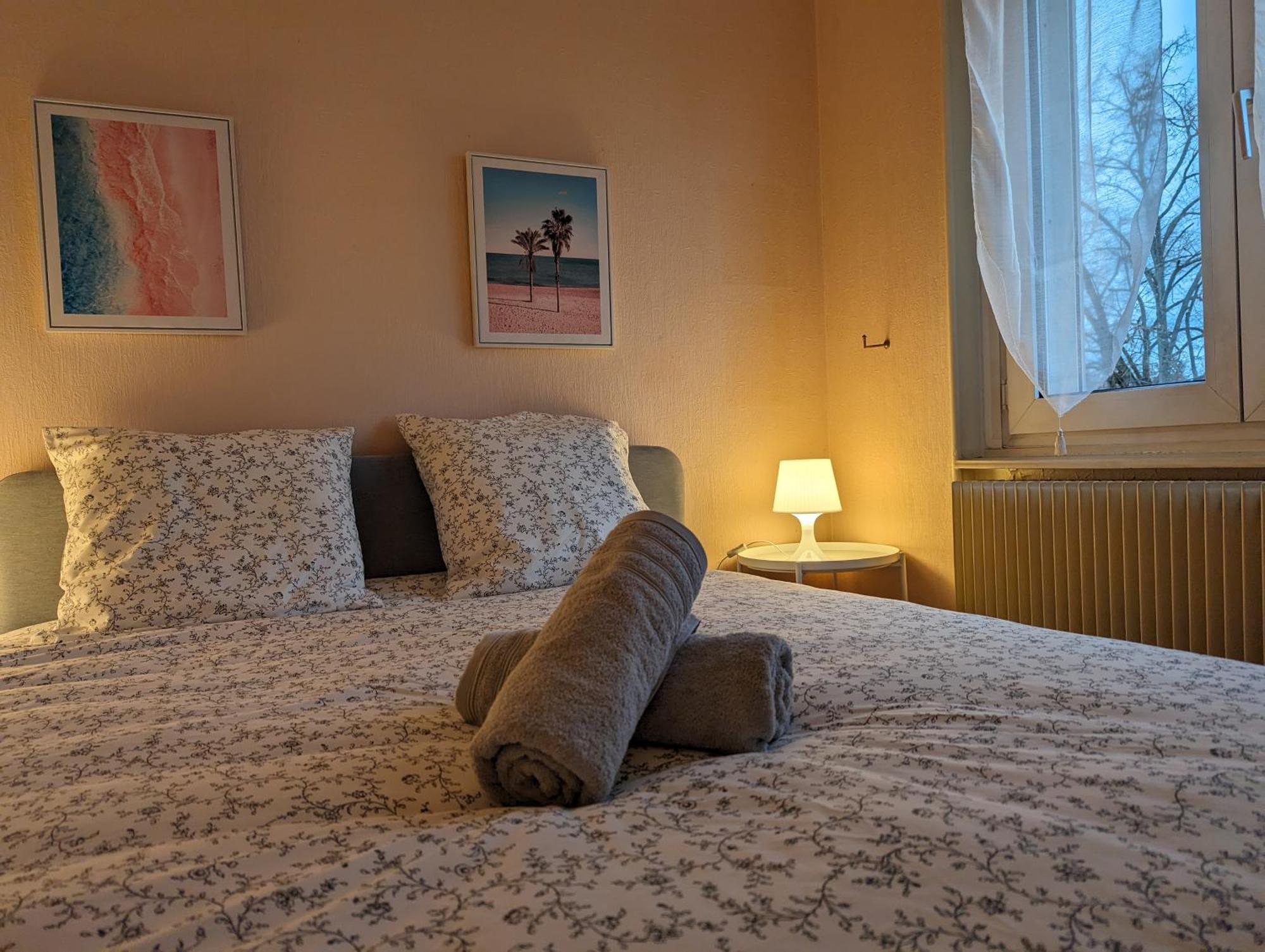 Le Balois - Appartement 2 Chambres, Salon, Cuisine Equipee, Parking Et Wifi Gratuit Mulhouse Ngoại thất bức ảnh